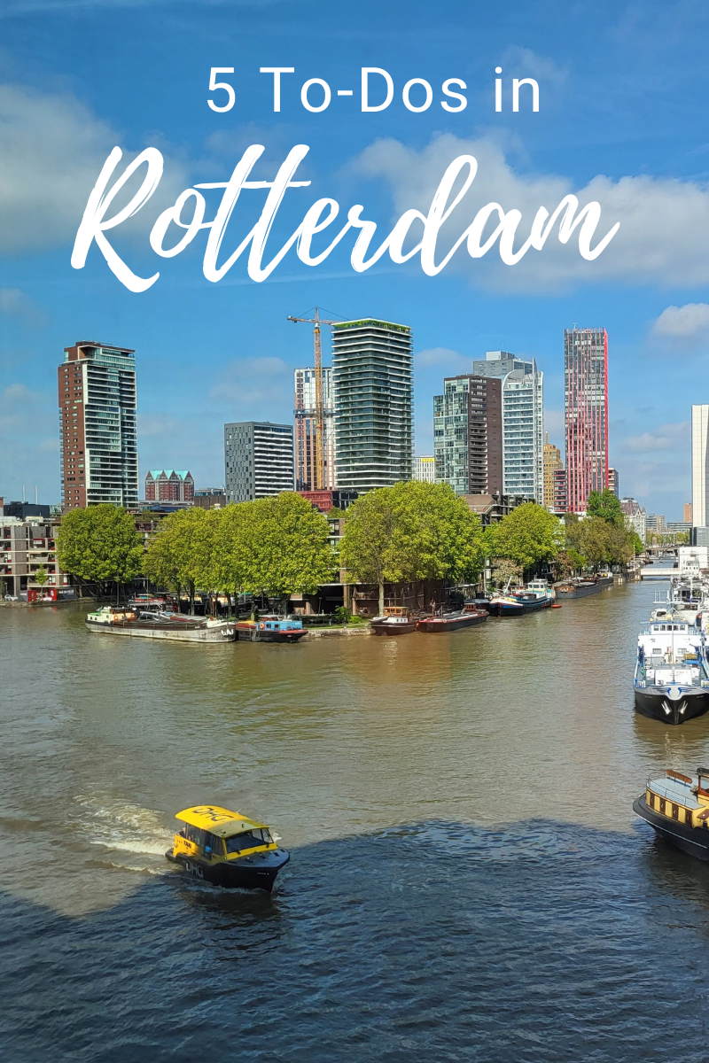 5 To-Dos in Rotterdam
